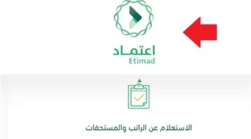 تحولات مالية رقمية.. دور منصة اعتماد في إدارة ميزانية المملكة خلال عام 2026